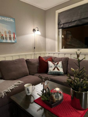 Hyggelig leilighet i sentrum